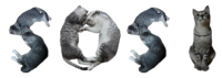 ZuWfAXCS.жипег