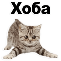512x512