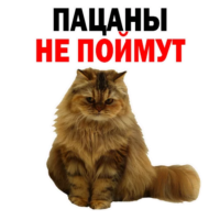 2YYVJsHt.жипег