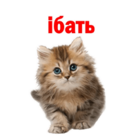 7GaWcCf4.жипег