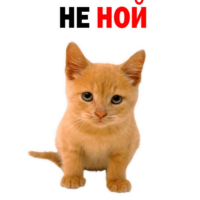 7hm51SEX.жипег