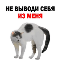 DjVdGcx6.жипег