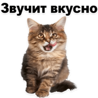 FGbRgI27.жипег