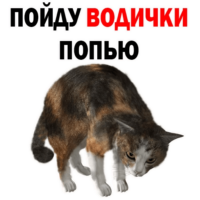 Hwxi2qLc.жипег