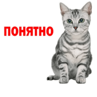 I4z7oBcn.жипег