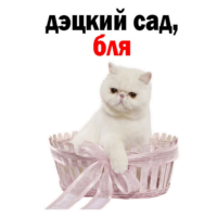 JvGKsb3c.жипег