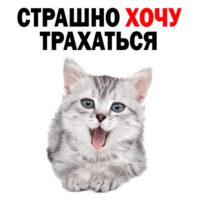 V4cAxCvE.жипег