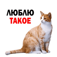 hgoODw3u.жипег