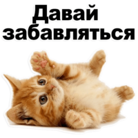 jTxJQldD.жипег