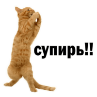 t4ufhgLG.жипег