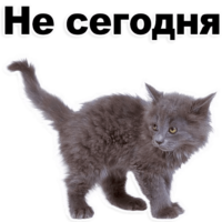 uTeA8dkQ.жипег