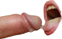 420x269