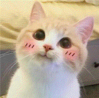 421x419