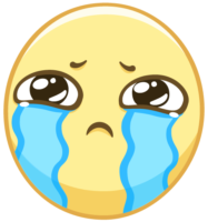 480x512