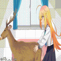 360x360
