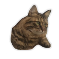 512x512