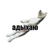 sd0rzqix.жипег