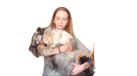 OZi5Quyx.жипег