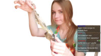 Sfsv2ytr.жипег