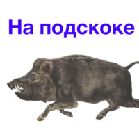 GTBLquck.жипег