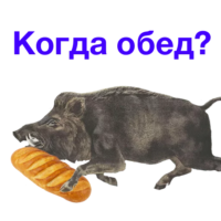 OVm0iXUM.жипег
