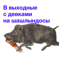 TEwlJLCX.жипег