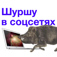 UpNwcsOS.жипег