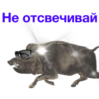 VVsZb1tr.жипег