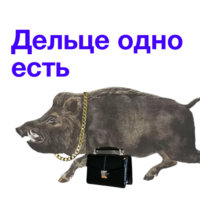 cCQPBwwe.жипег