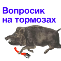 fhWbWVfb.жипег