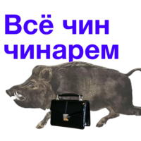 gbChJnRk.жипег