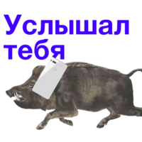 rUHrACCS.жипег