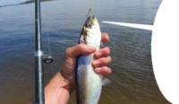 512x299