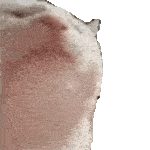 150x150