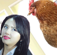 512x497