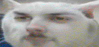 lZLVjpLx.жипег