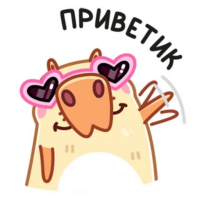 dy272lIU.жипег