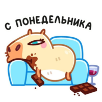 enDHfk2w.жипег