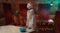 N4qGwDIT.жипег
