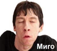 379x342