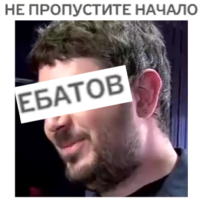 313x310