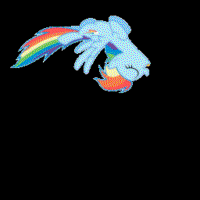 256x256