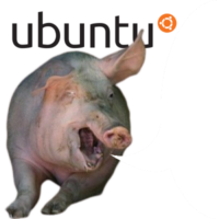 400x400