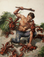 396x512