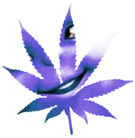 Ka1khxh3.жипег