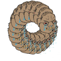 250x250