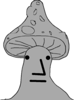 MFR8EVQ0.жипег