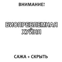 500x500