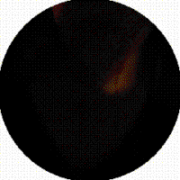 240x240