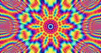 500x264